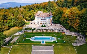 Chateau Des Avenieres